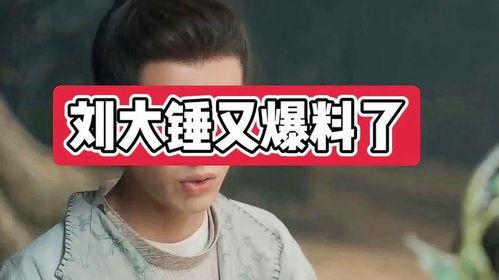 刘大锤最新爆料包贝尔,真相究竟如何? 第3张 刘大锤最新爆料包贝尔,真相究竟如何? 第3张